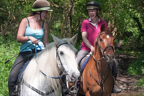 Horse Riding in Dorset