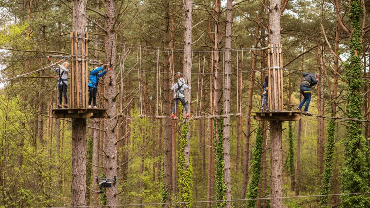 Moors Valley Country Park and Forest