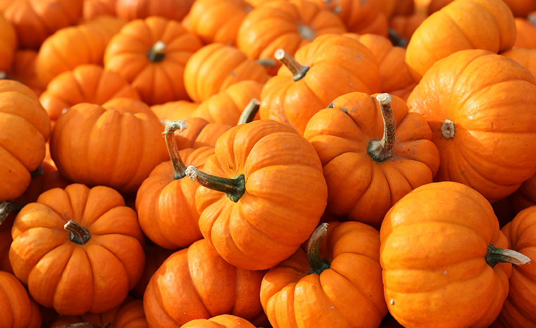 Things to do in Dorset for Halloween 